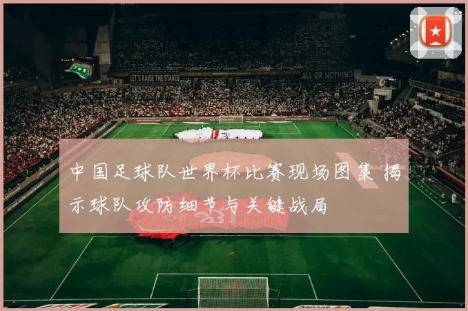 中国足球队世界杯比赛现场图集 揭示球队攻防细节与关键战局