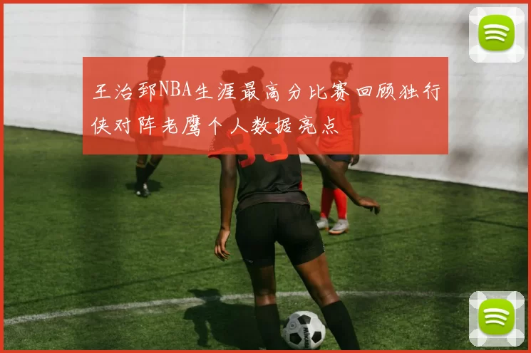 王治郅NBA生涯最高分比赛回顾独行侠对阵老鹰个人数据亮点