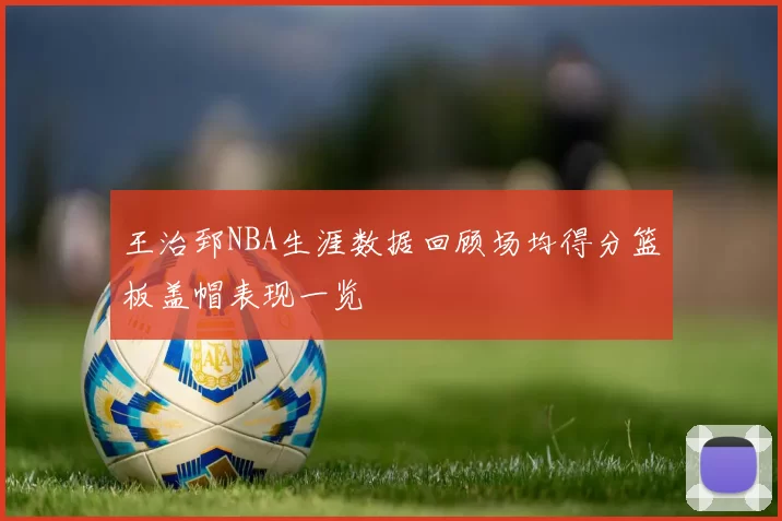 王治郅NBA生涯数据回顾场均得分篮板盖帽表现一览