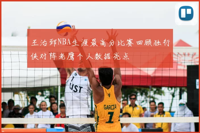 王治郅NBA生涯最高分比赛回顾独行侠对阵老鹰个人数据亮点