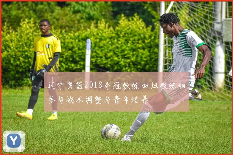 辽宁男篮2018夺冠教练回归教练组参与战术调整与青年培养